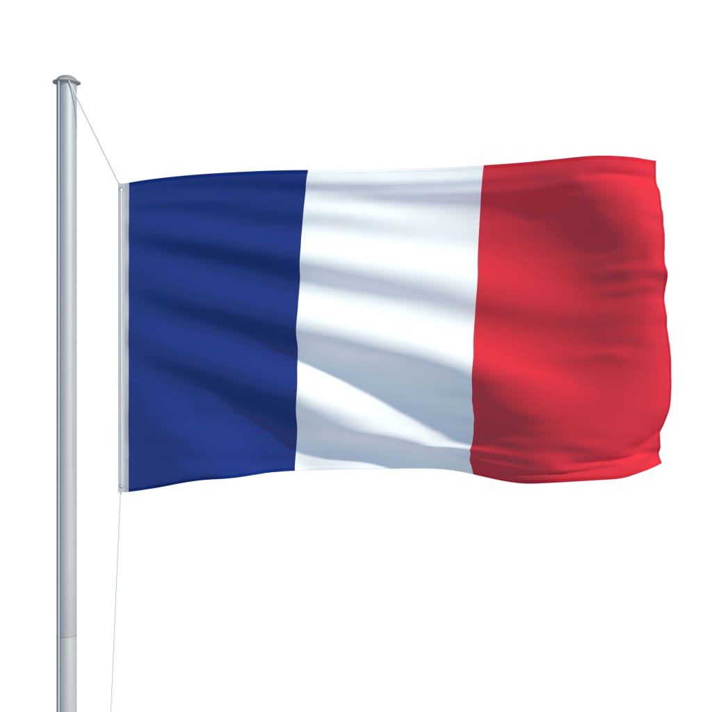 vidaXL Fransk flagg og stang aluminium 6,2 m