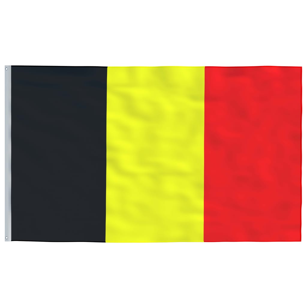 vidaXL Belgisk flagg og stang 6,23 m aluminium