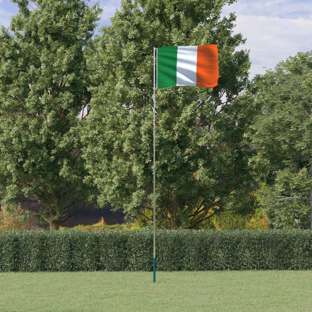 vidaXL Irsk flagg og stang 5,55 m aluminium