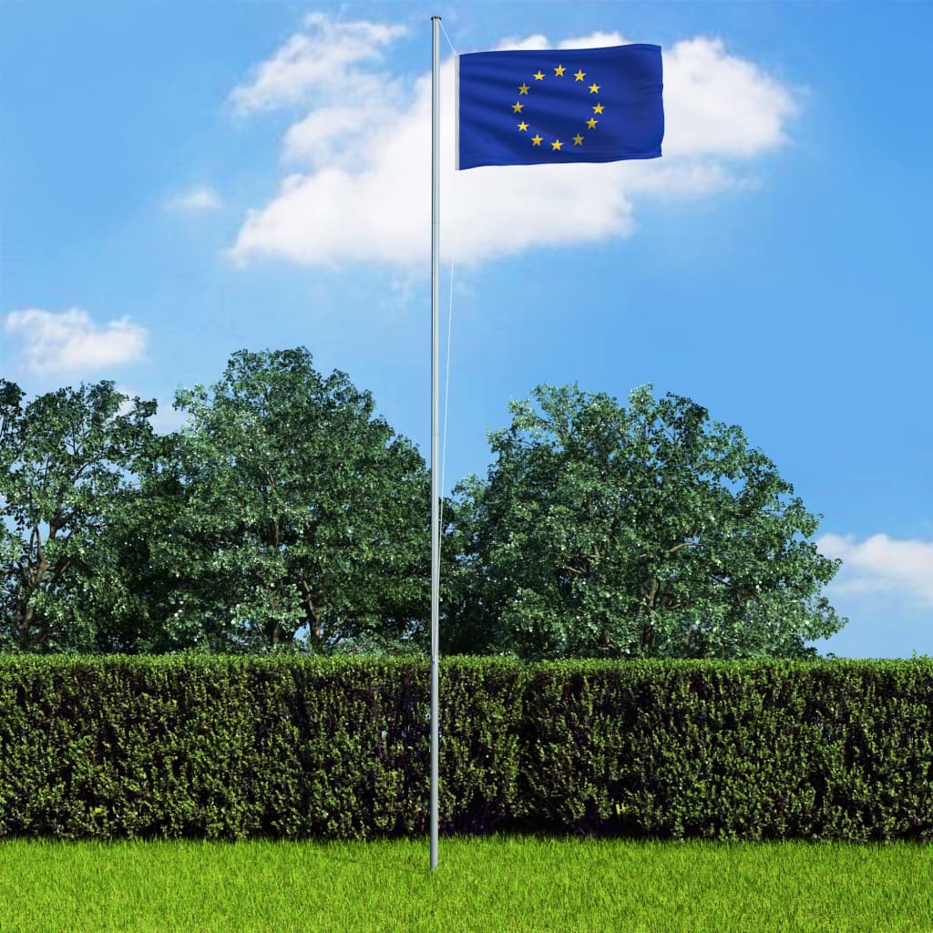 vidaXL Europeisk flagg og stang aluminium 4 m
