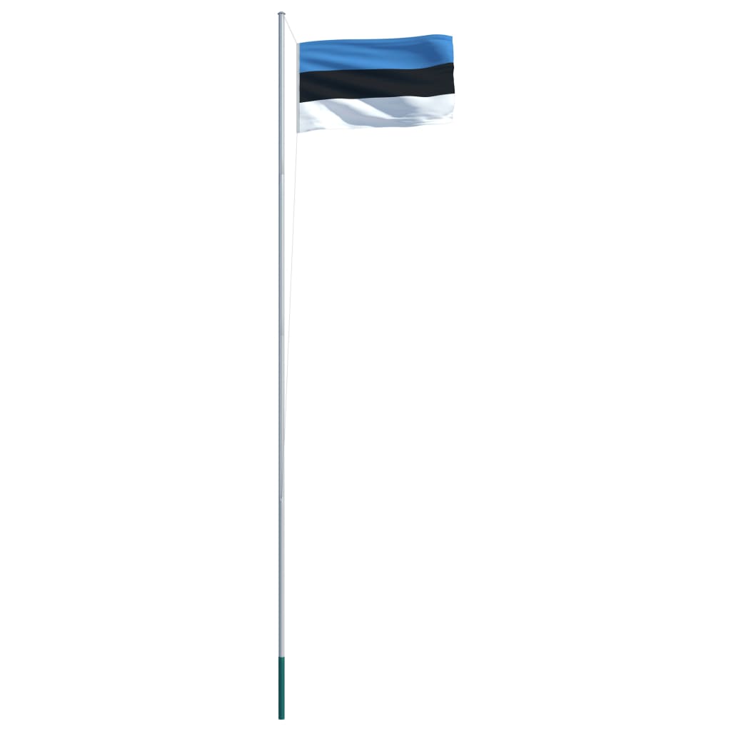 vidaXL Estisk flagg og stang aluminium 6,2 m