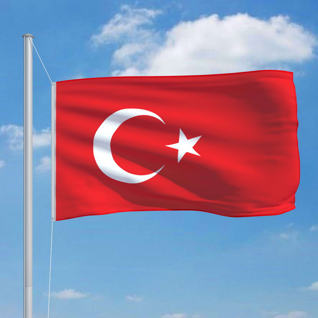 vidaXL Tyrkisk flagg og stang aluminium 6,2 m