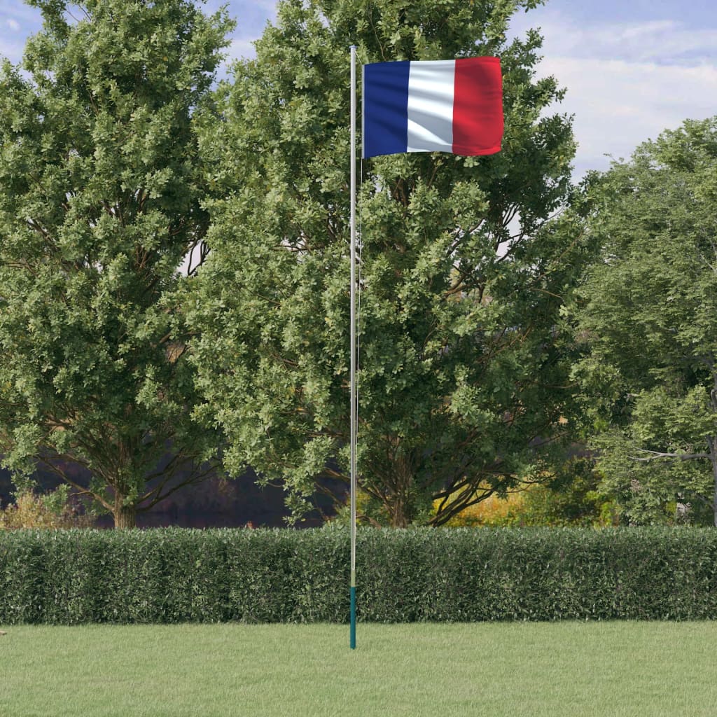 vidaXL Fransk flagg og stang 6,23 m aluminium