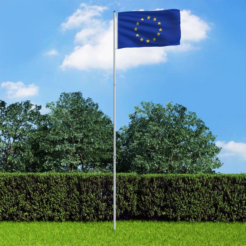 vidaXL Europeisk flagg og stang aluminium 6 m