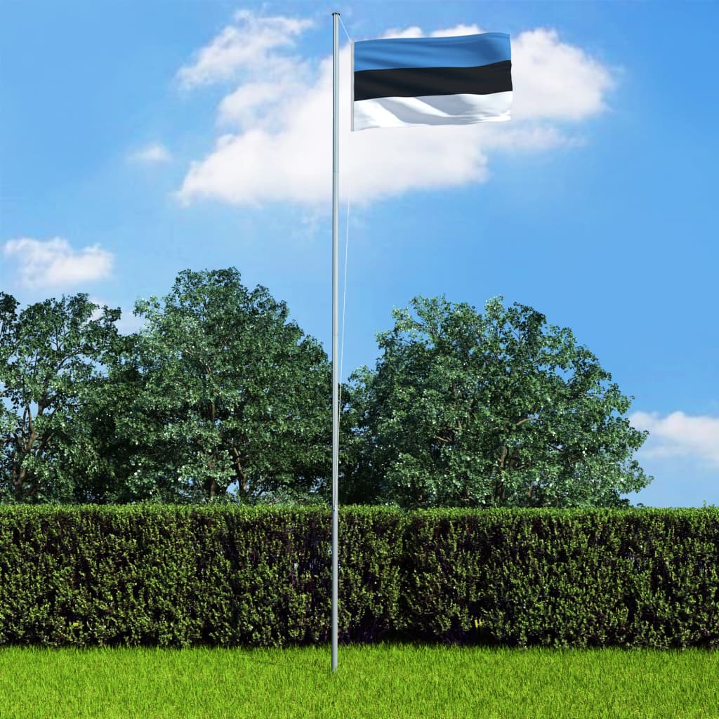 vidaXL Estisk flagg og stang aluminium 6,2 m
