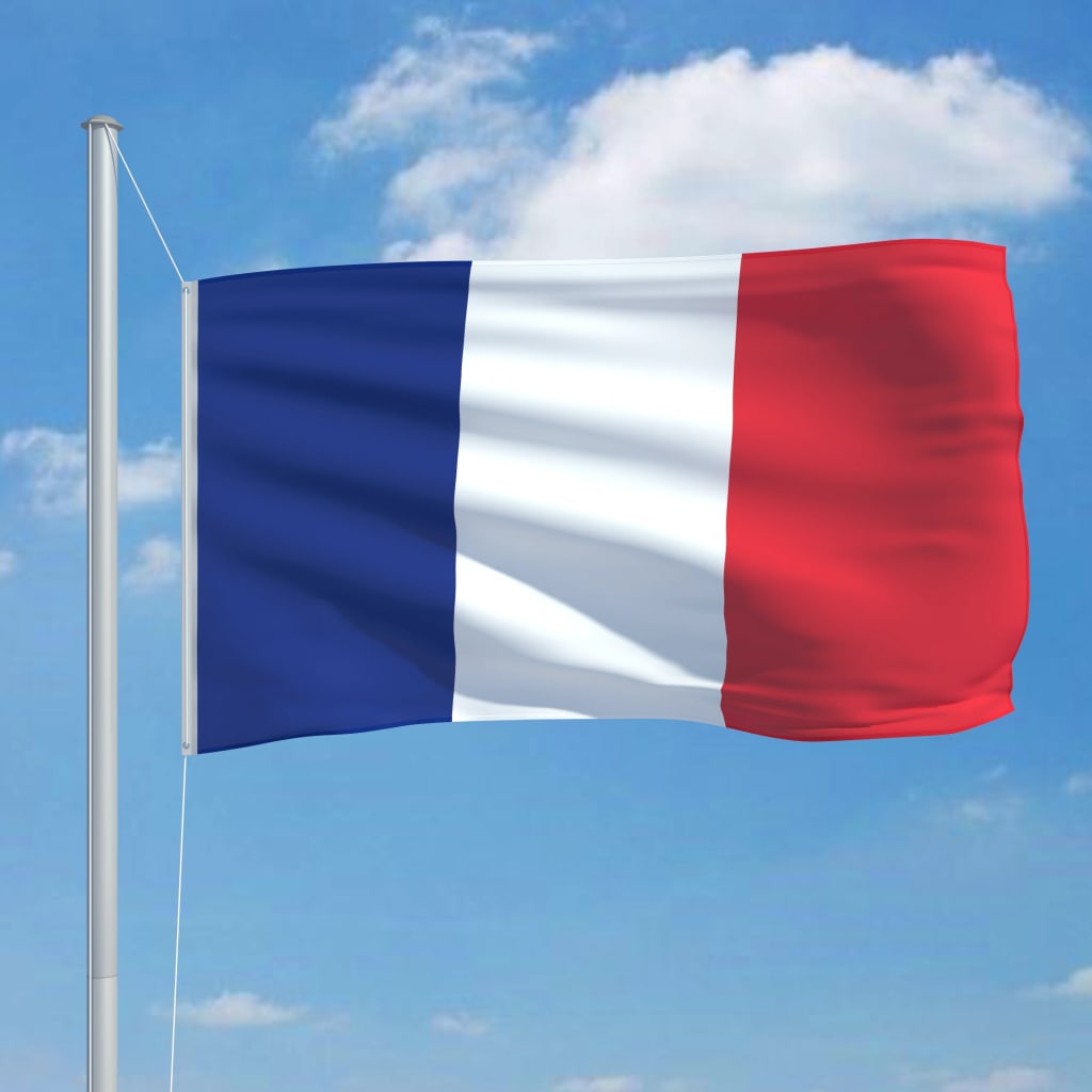 vidaXL Fransk flagg 90x150 cm