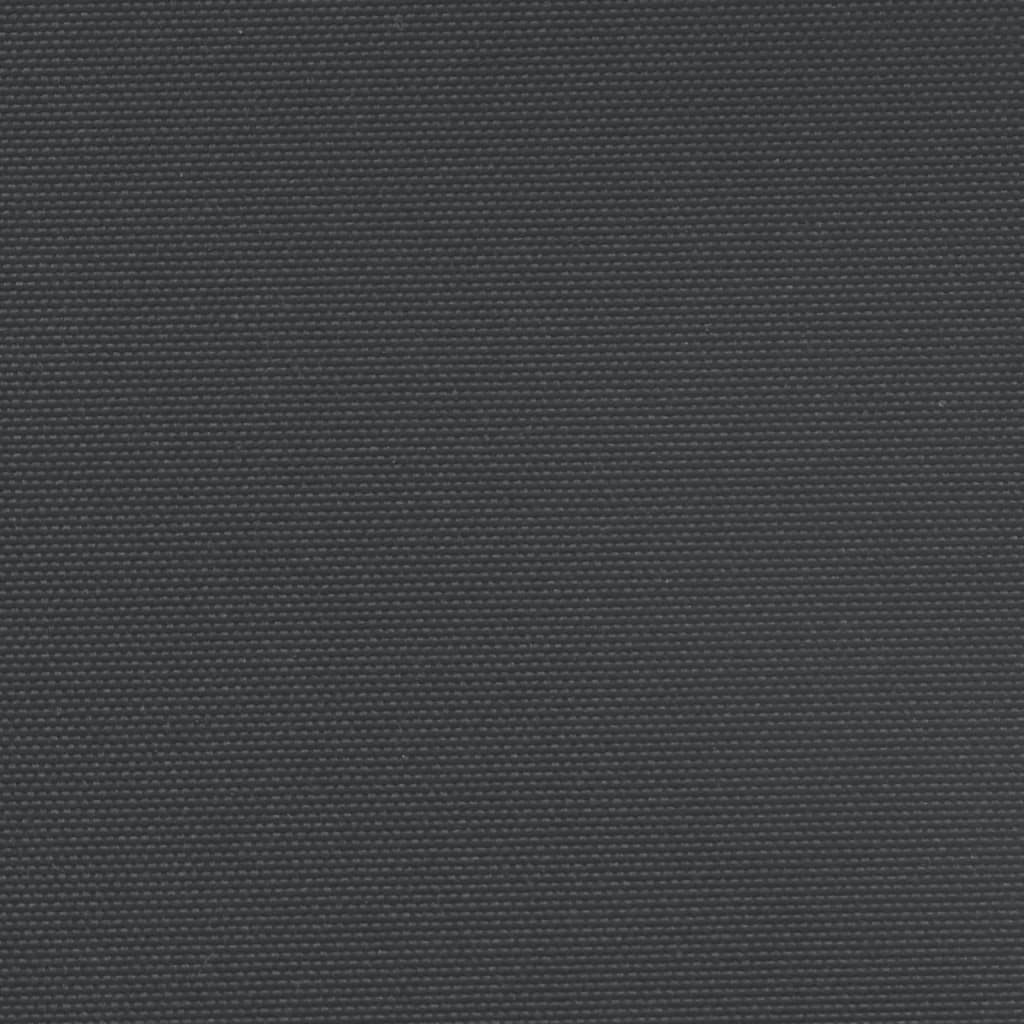 vidaXL Uttrekkbar sidemarkise 220x600 cm svart