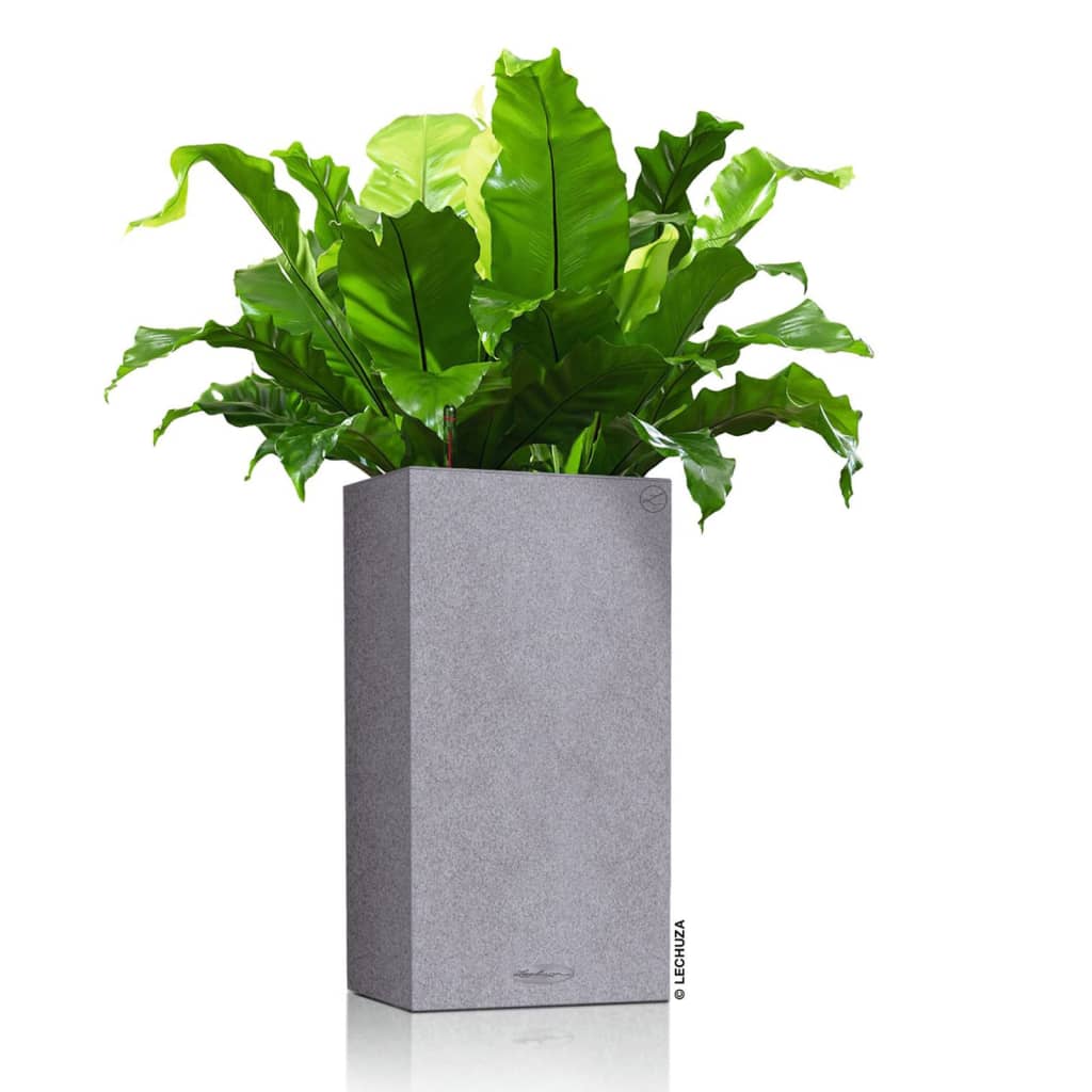 LECHUZA Plantekasse CANTO Stone 30 High ALL-IN-ONE steingrå