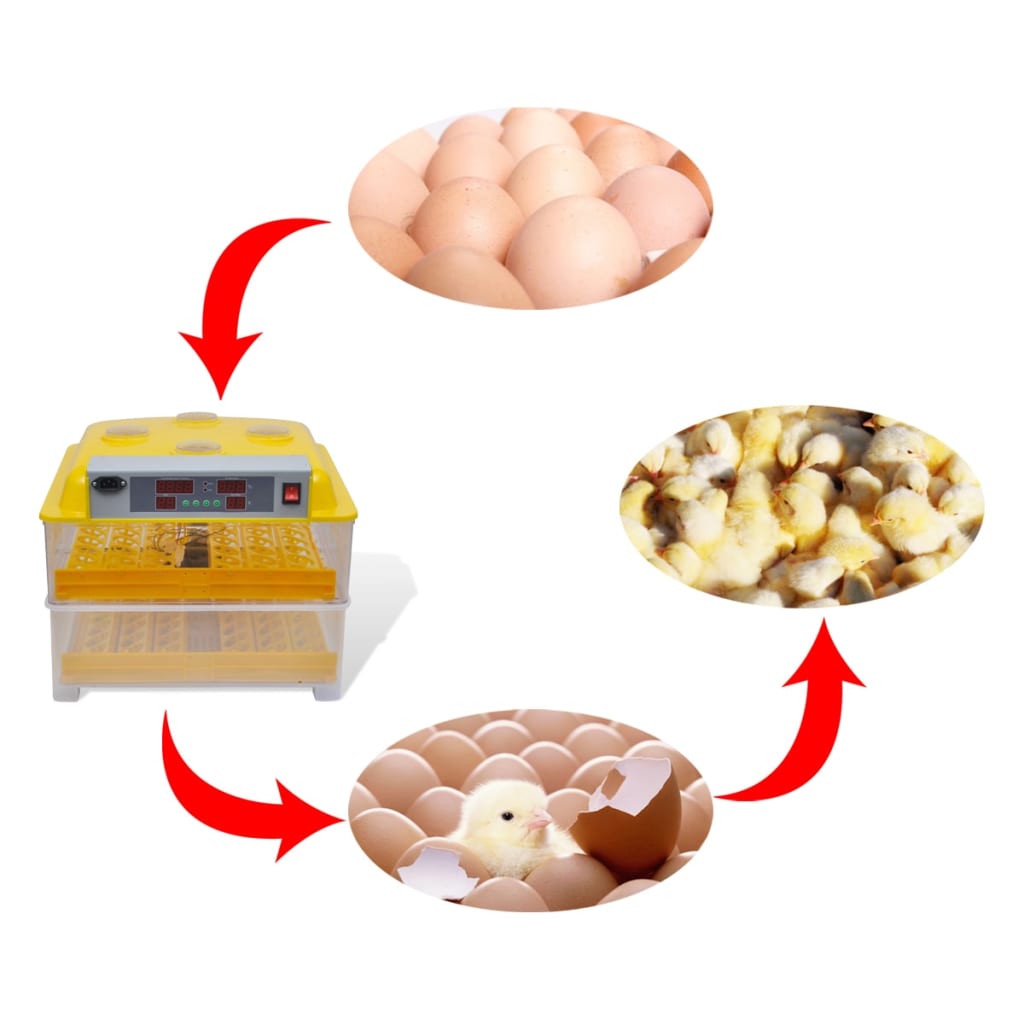 Automatisk inkubator for 96 kylling egg