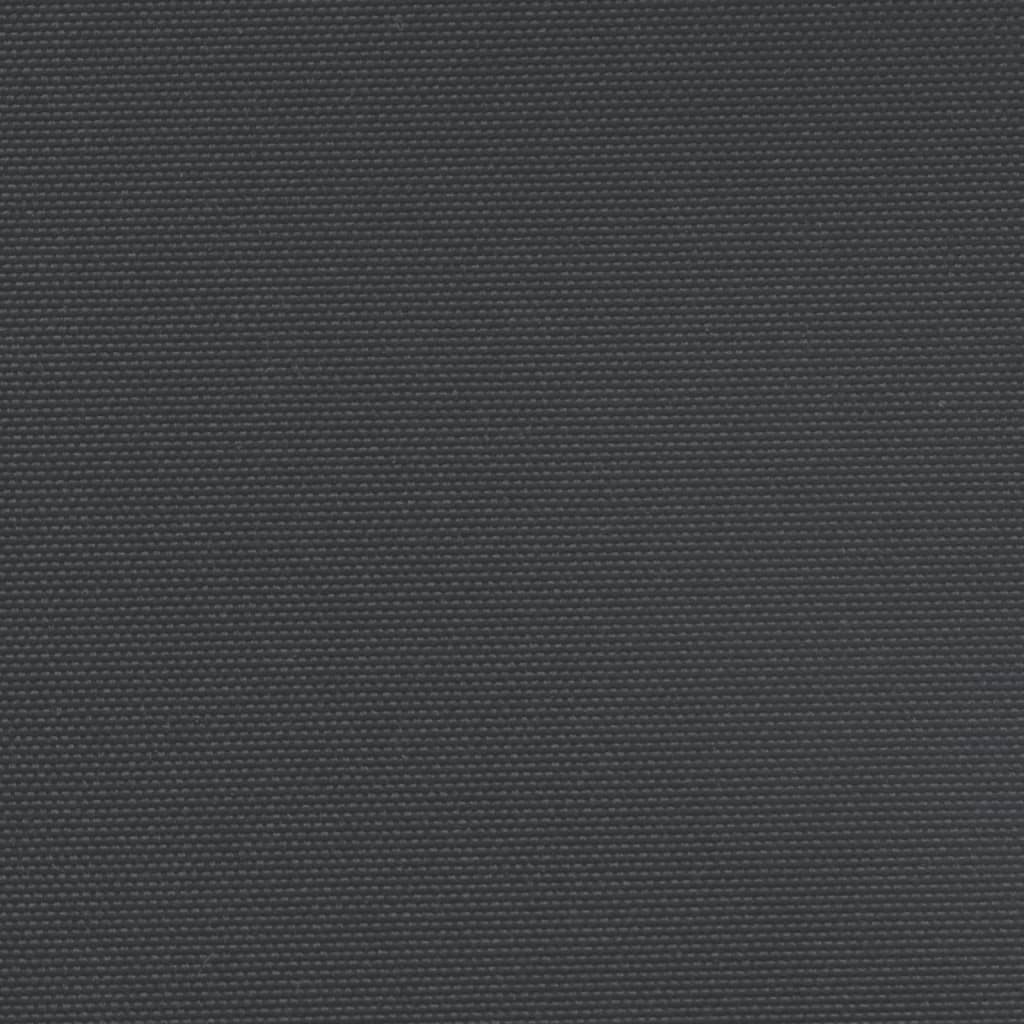 vidaXL Uttrekkbar sidemarkise svart 100x300 cm