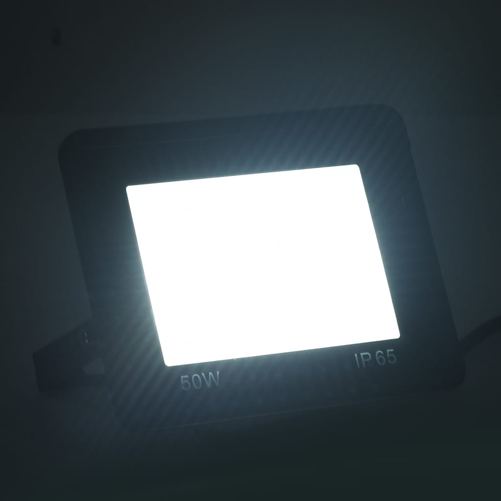 vidaXL LED-flomlys 2 stk 50 W kaldhvit