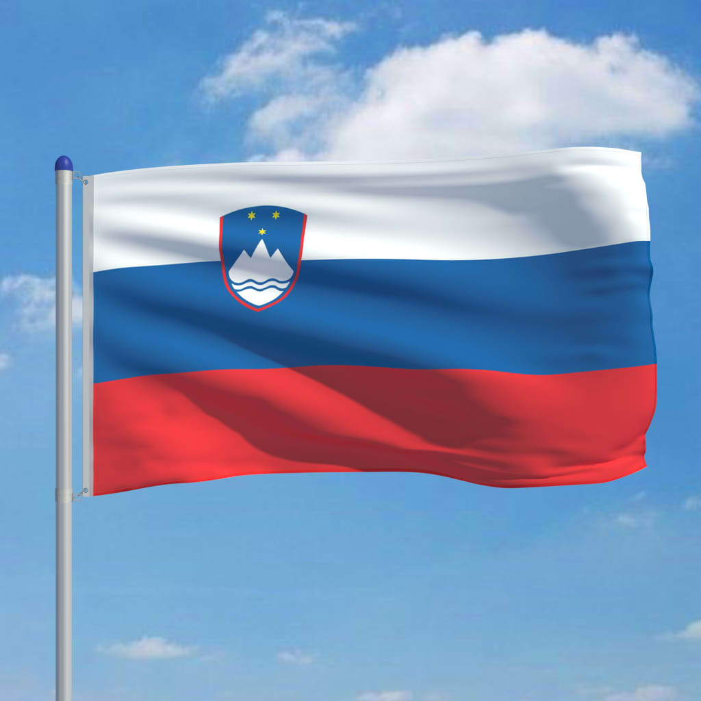 vidaXL Slovensk flagg og stang aluminium 6 m