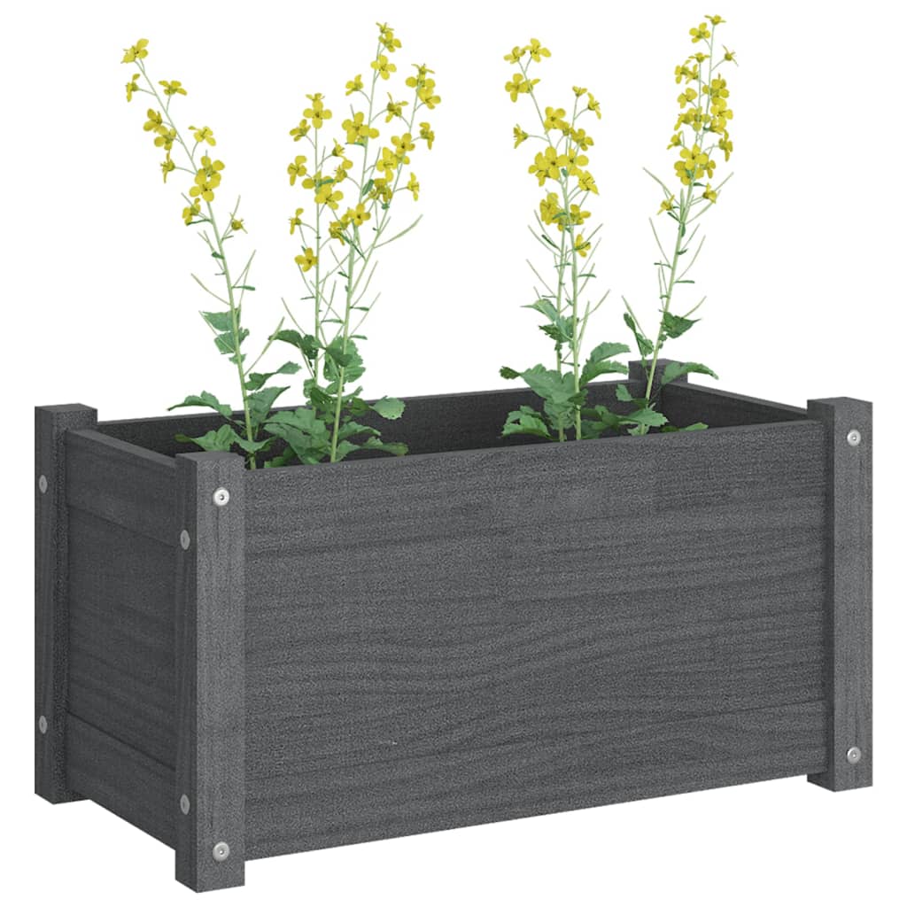 vidaXL Plantekasser 2 stk grå 60x31x31 cm heltre furu