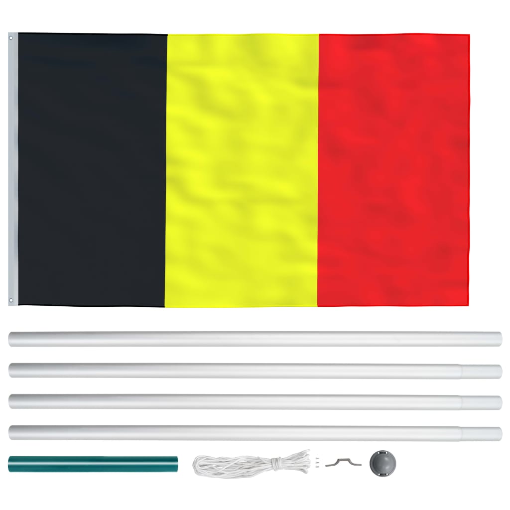 vidaXL Belgisk flagg og stang aluminium 6,2 m