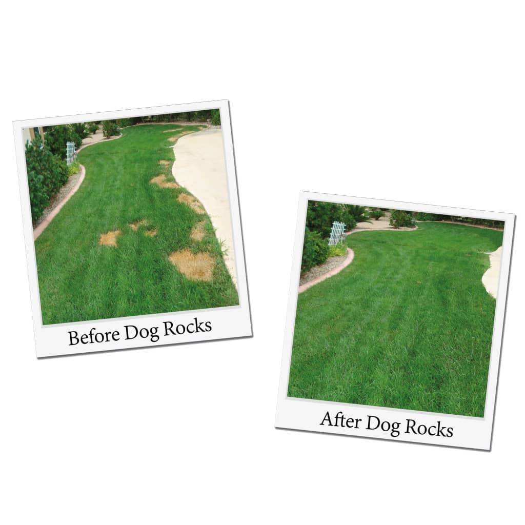 Dog Rocks Steiner anti-urinflekker for hunder