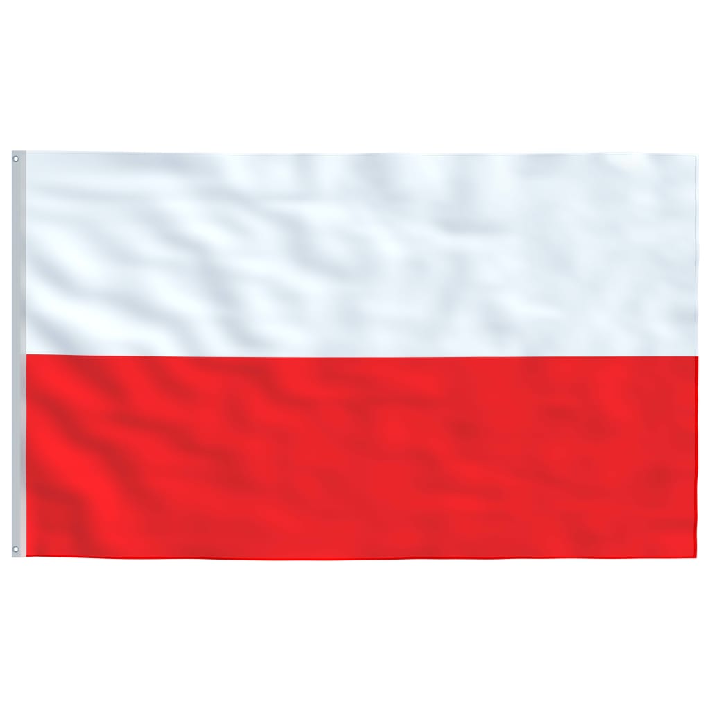 vidaXL Polsk flagg og stang 5,55 m aluminium