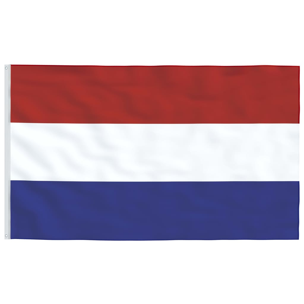 vidaXL Nederlandsk flagg og stang 6,23 m aluminium