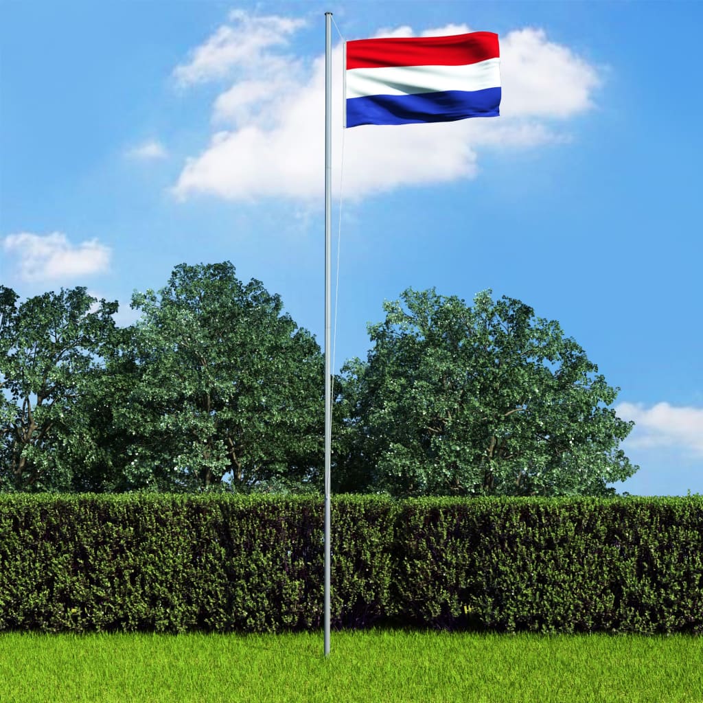 vidaXL Nederlandsk flagg og stang aluminium 6,2 m