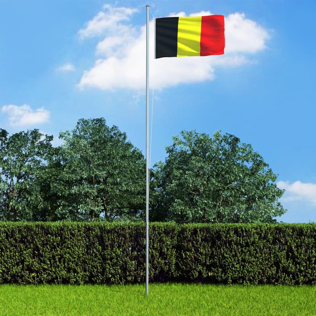 vidaXL Belgisk flagg og stang aluminium 6,2 m