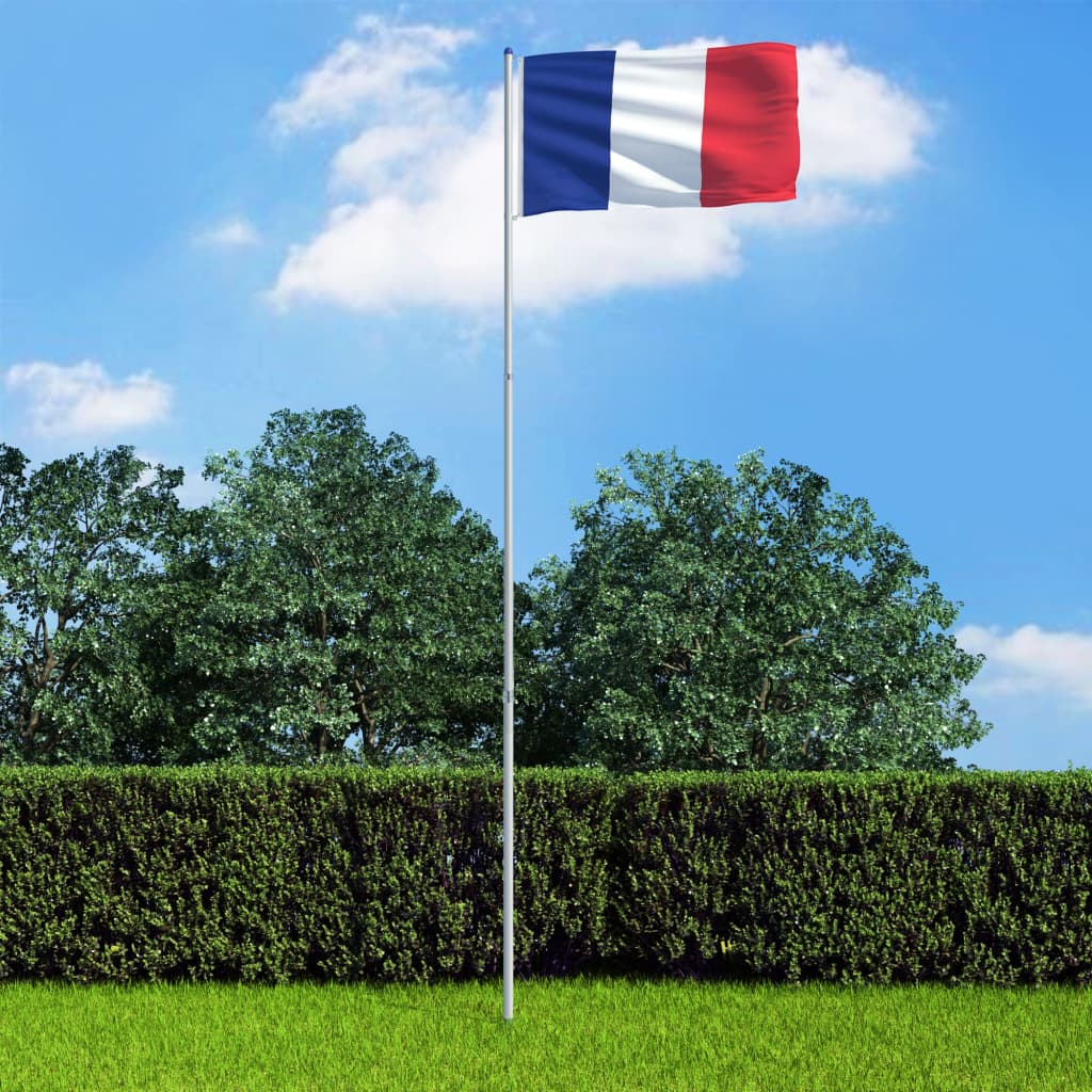 vidaXL Fransk flagg og stang aluminium 6 m