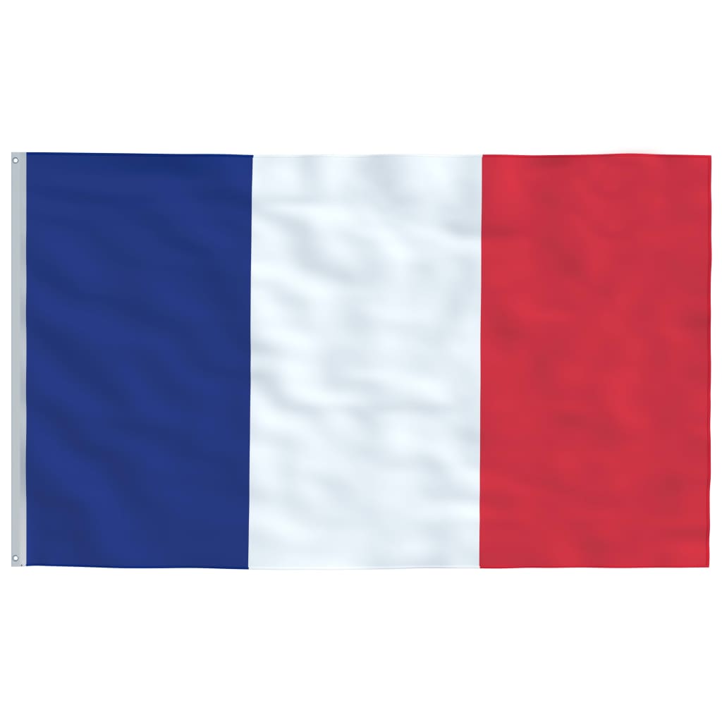 vidaXL Fransk flagg og stang aluminium 6,2 m