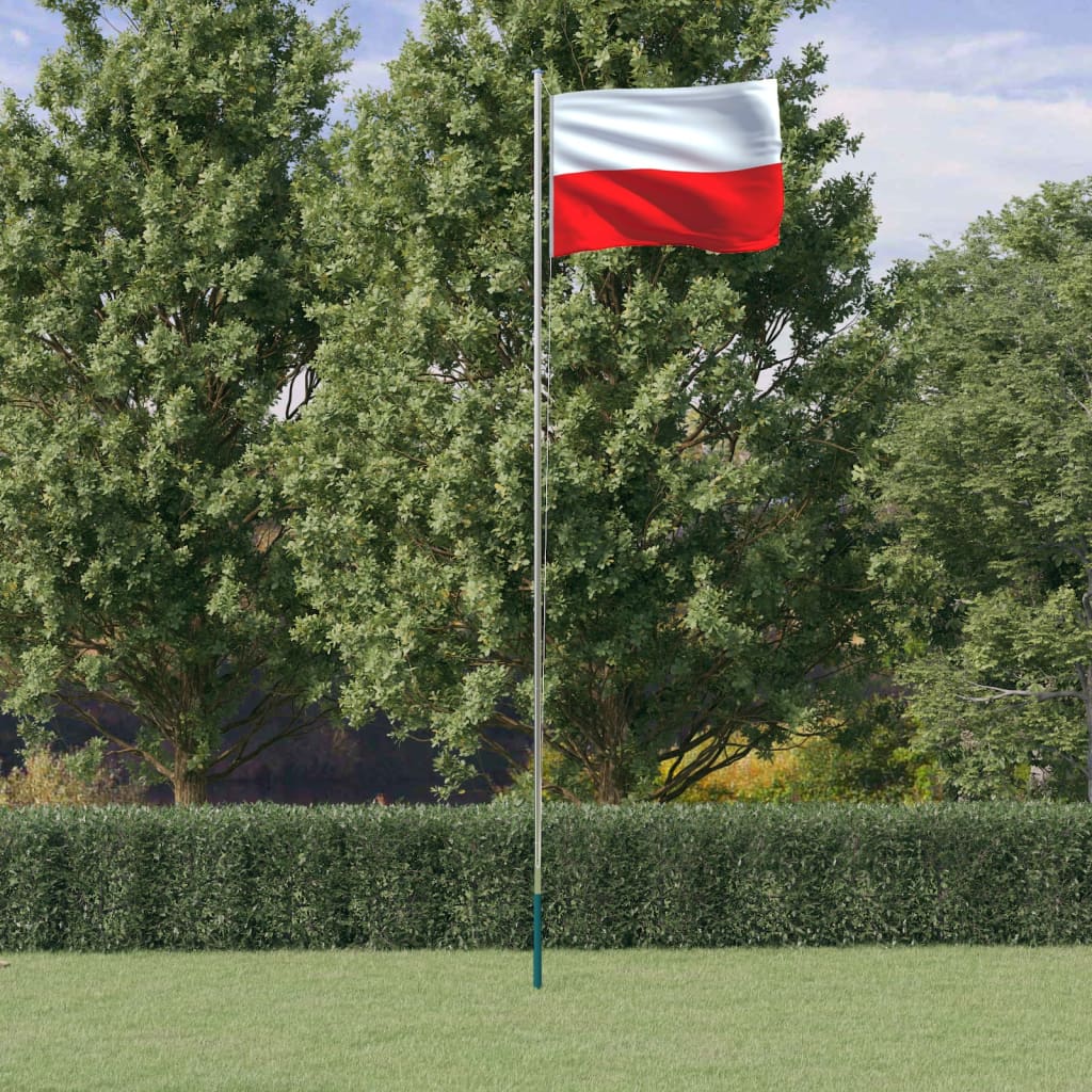 vidaXL Polsk flagg og stang 6,23 m aluminium