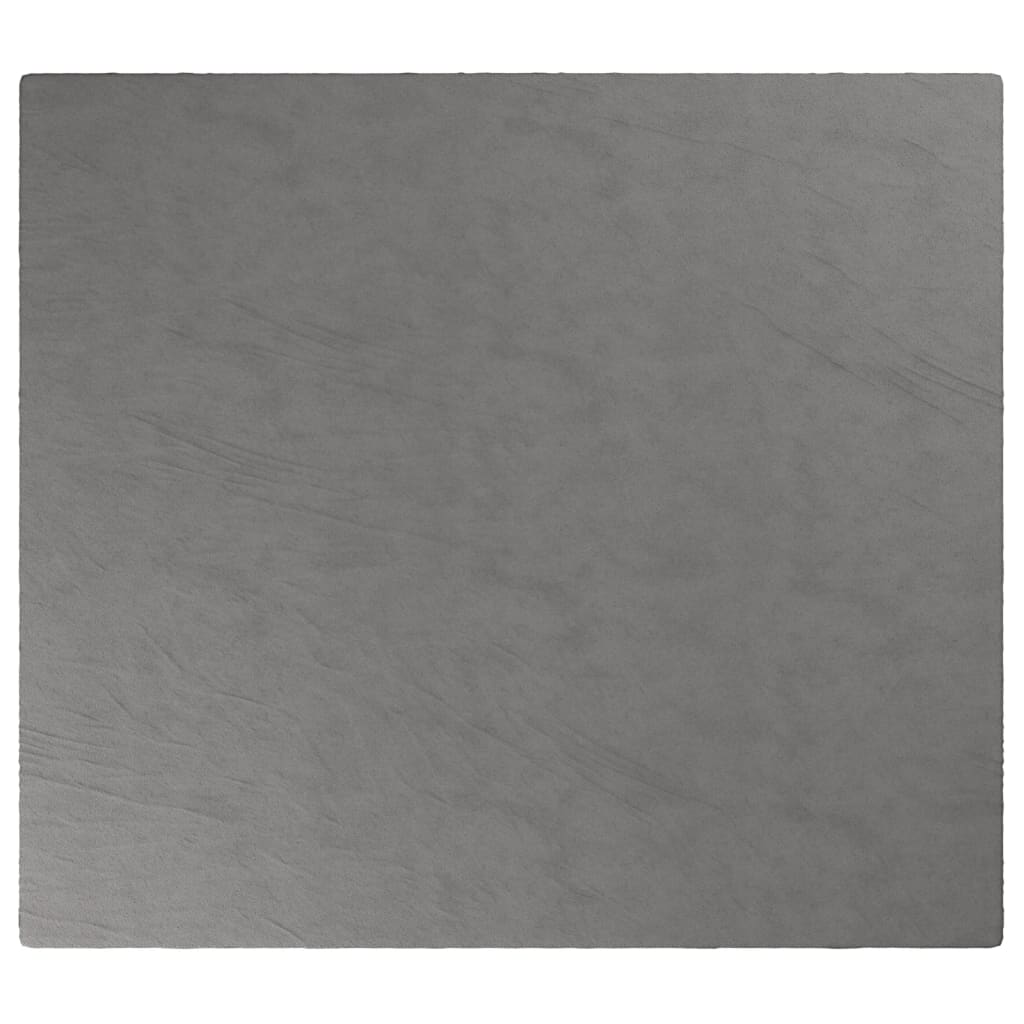 vidaXL Vektdyne med trekk grå 200x220 cm 13 kg stoff