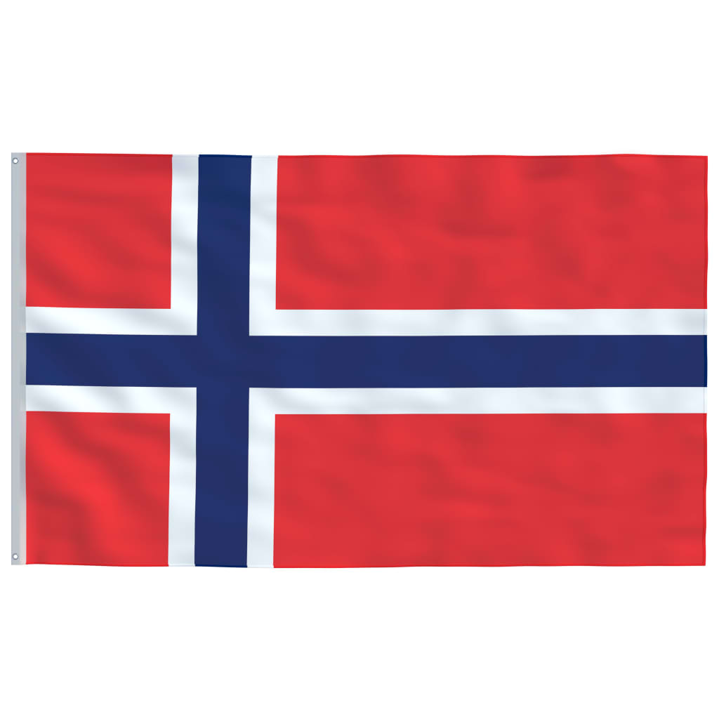 vidaXL Norsk flagg og stang aluminium 6 m