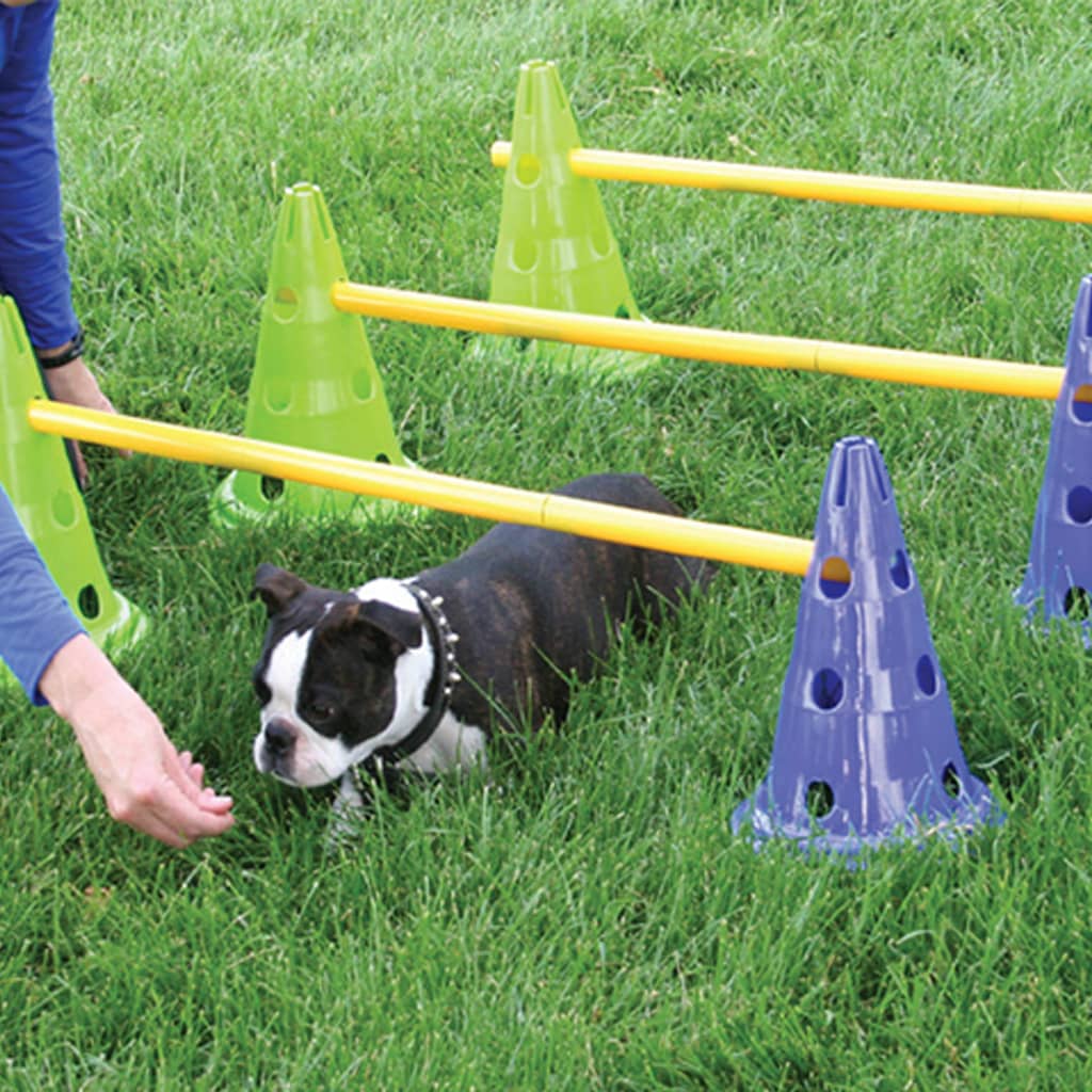 FitPAWS Smidighetssett for hund Canine Gym