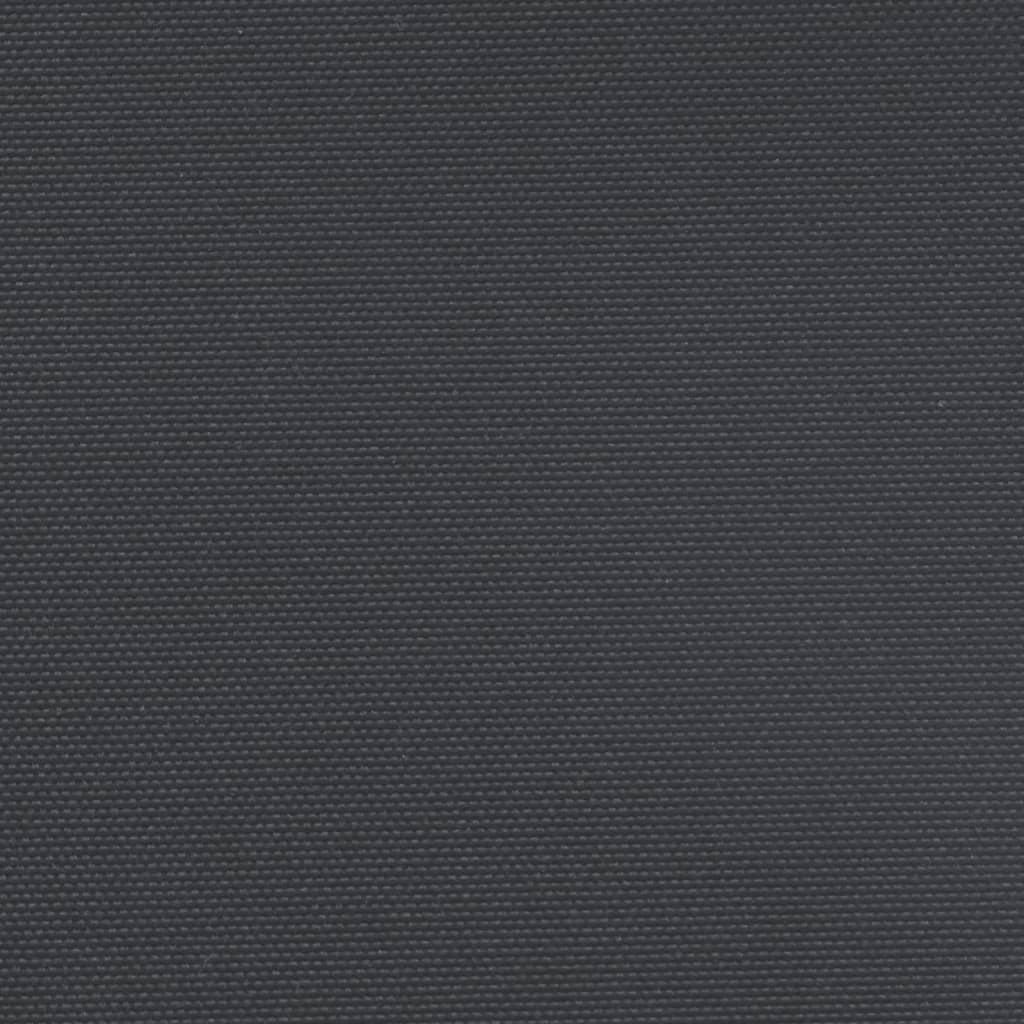vidaXL Uttrekkbar sidemarkise svart 140x1200 cm