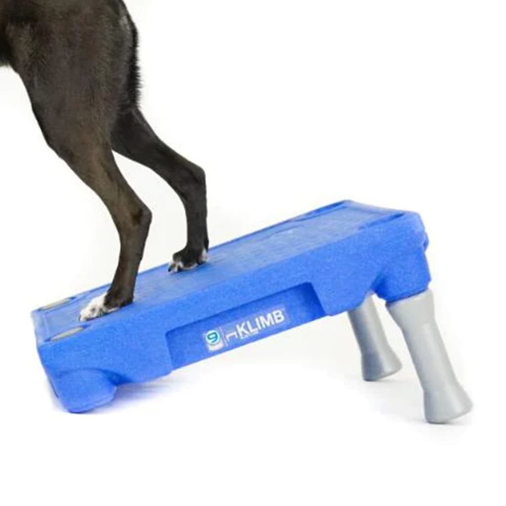 BLUE-9 Plattform for KLIMB hundetreningssystem blå