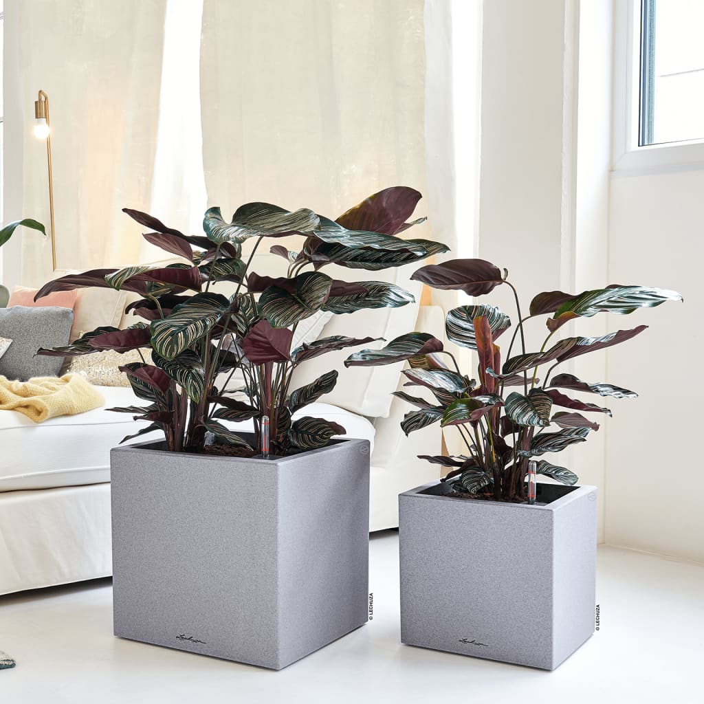 LECHUZA Plantekasse CANTO Stone 30 Low ALL-IN-ONE steingrå