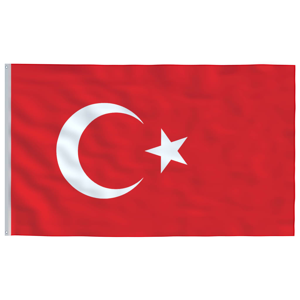 vidaXL Tyrkisk flagg og stang 5,55 m aluminium