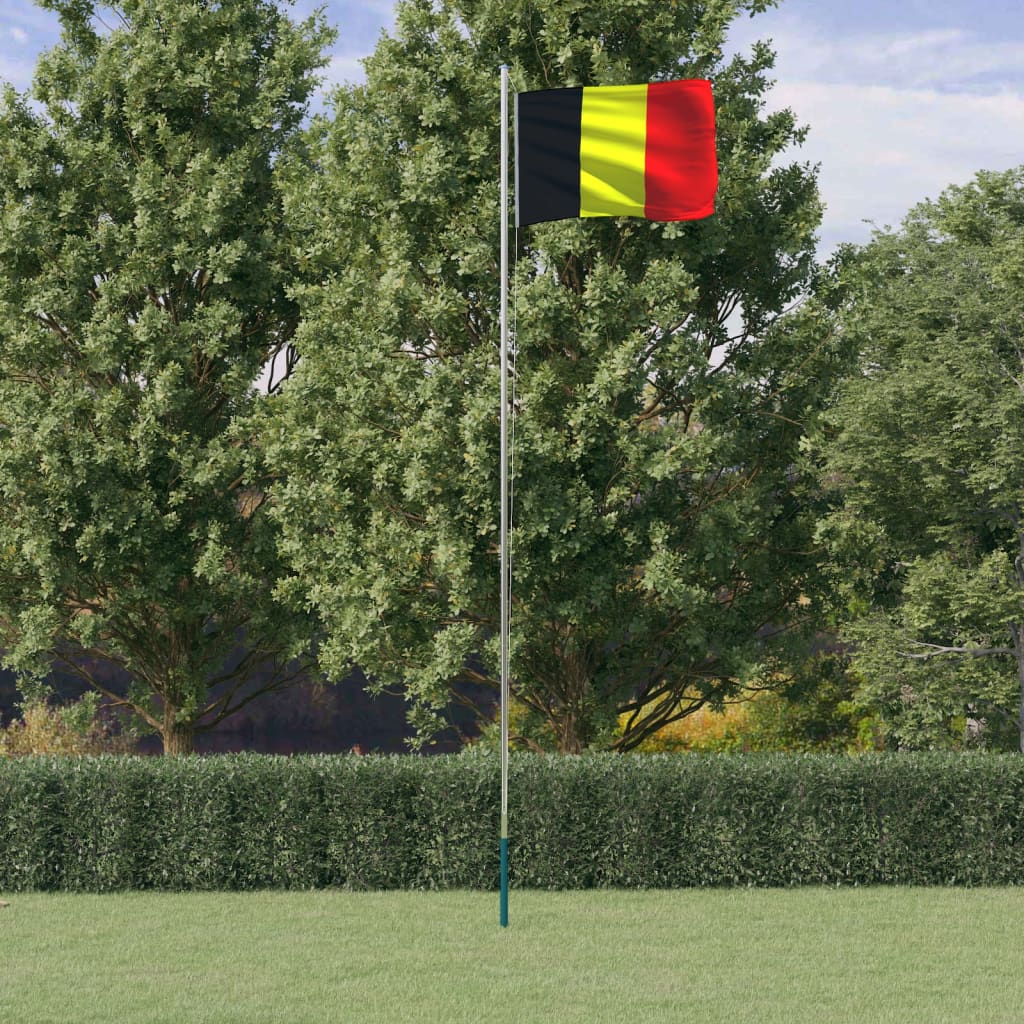 vidaXL Belgisk flagg og stang 6,23 m aluminium