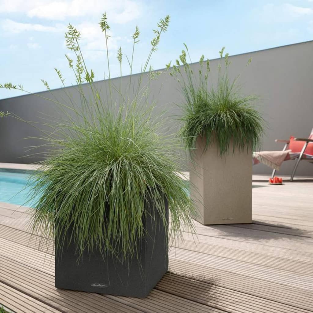 LECHUZA Plantekasse CANTO Stone 30 Low ALL-IN-ONE grafittsvart