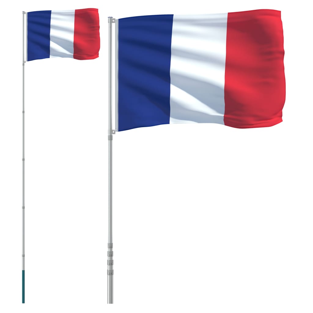 vidaXL Fransk flagg og stang 5,55 m aluminium