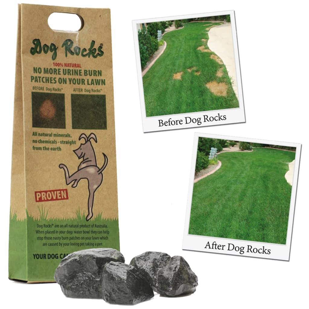 Dog Rocks Steiner anti-urinflekker for hunder