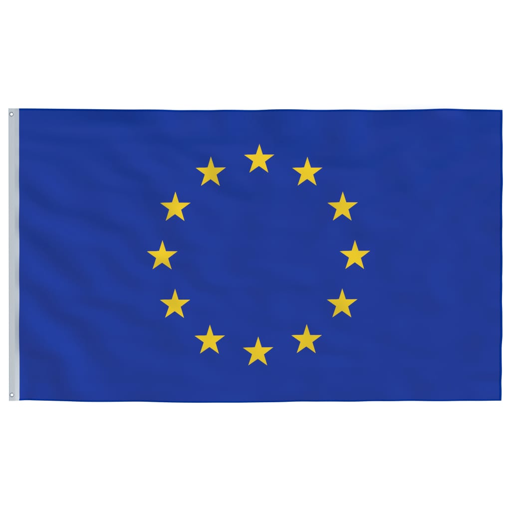 vidaXL Europeisk flagg og stang 6,23 m aluminium
